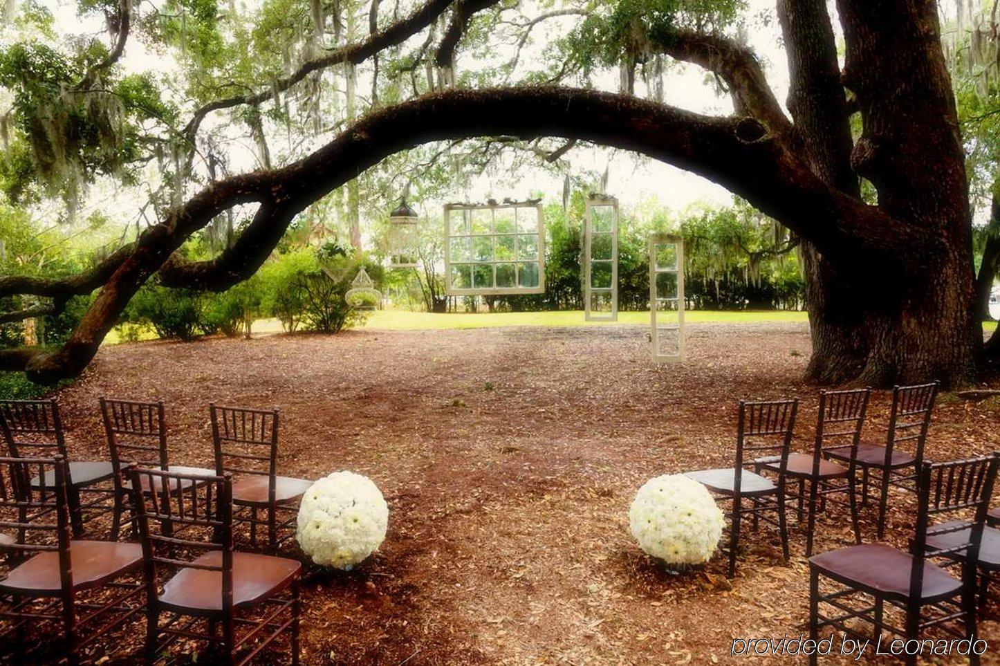 Hilton University Of Florida Conference Center Gainesville Kültér fotó